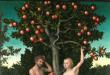 სევდიანი ამბავი მაცდური გველის, ადამისა და ევას შესახებ მაცდური გველი: ცხოველი ან ანგელოზი