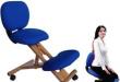 Kompjuterske stolice s lumbalnom potporom Kompjuterska stolica za bolna leđa